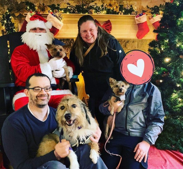 Christmas katie and seamus