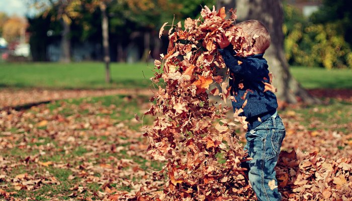 Young boy playing in leaves