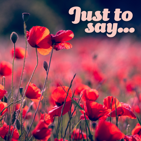 Just to say eCard with photograph of poppies