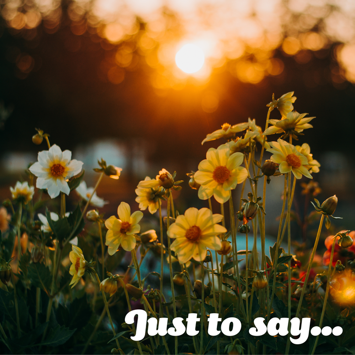 Just to say eCard with yellow flowers and sunshine