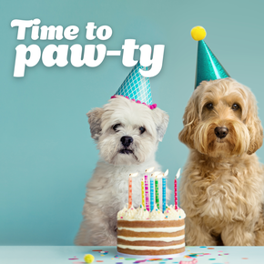 Time to paw-ty eCard with dogs wearing party hats in front of cake