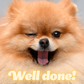 Well done eCard with winking dog